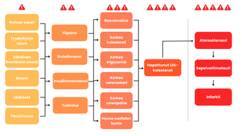Eroon korkesta kolesterolista 30 päivässä